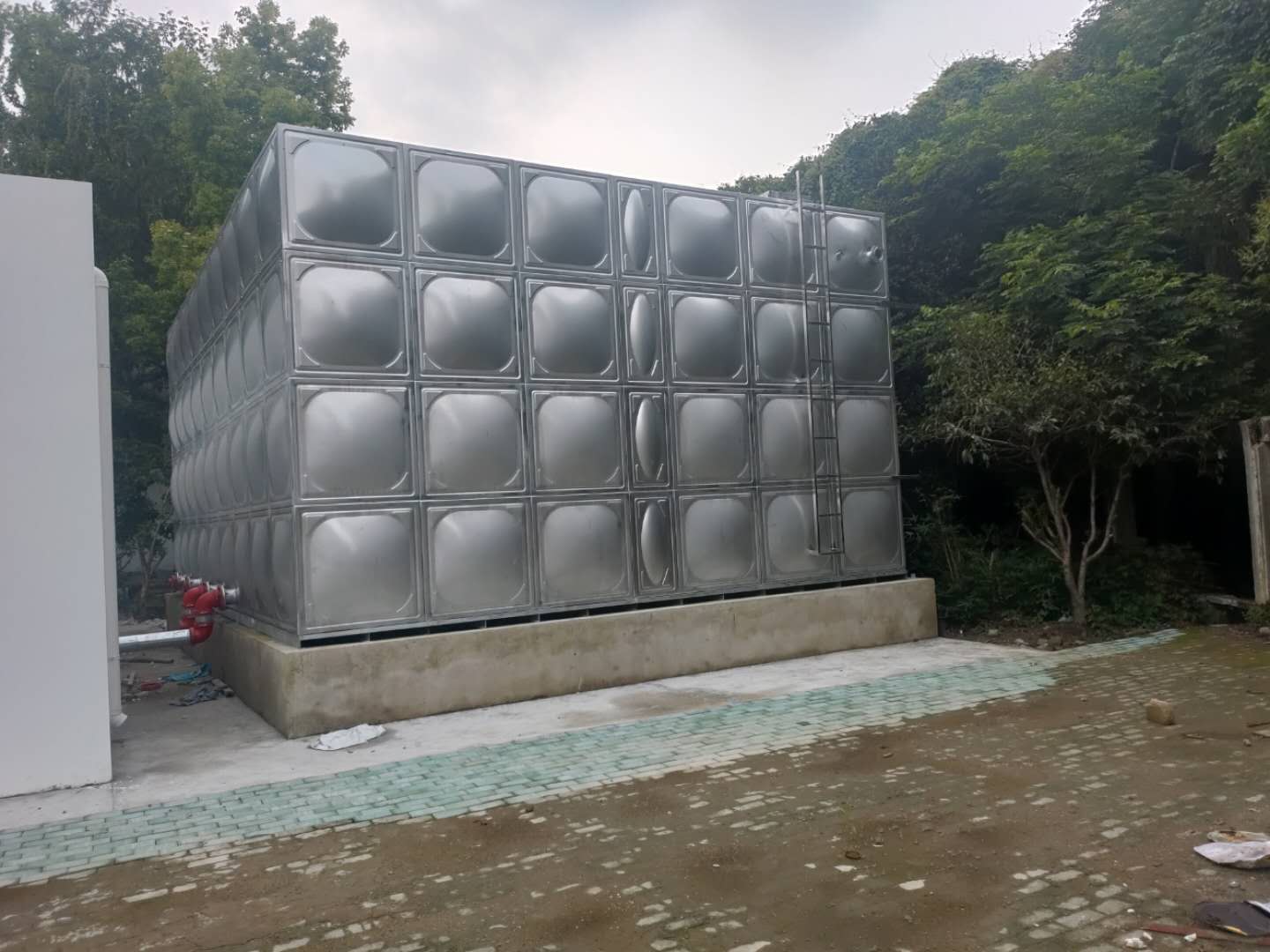 案例展示